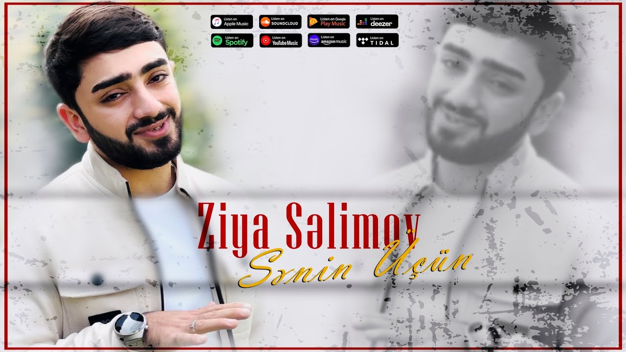 Ziya Selimov - Sənin Üçün 2024 (Official Audio)