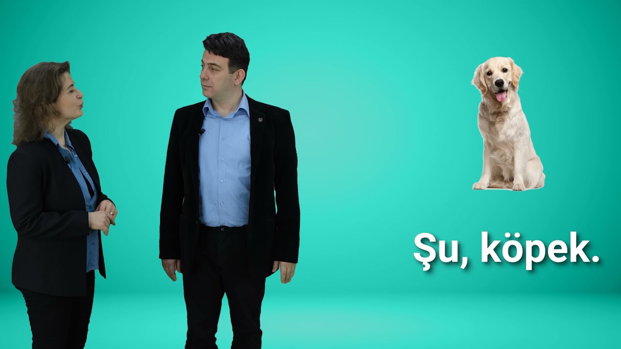 İzle, Eğlen, Öğren - 