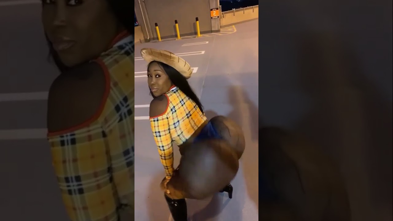 Zmeenaorr 2 Min Twerking | Compilation