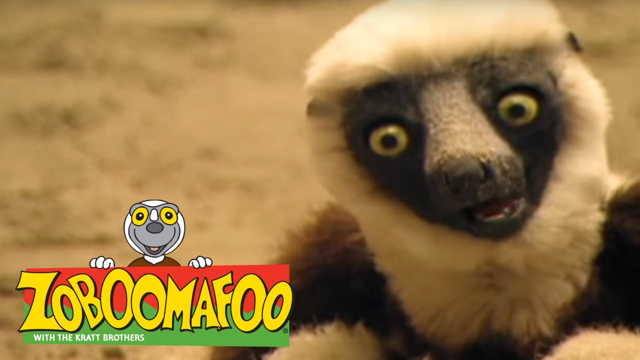 Zoboomafoo 133 - Sand Creatures (Full Episode)