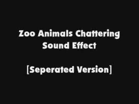 Zoo Animals Chattering SFX [Separated Version]