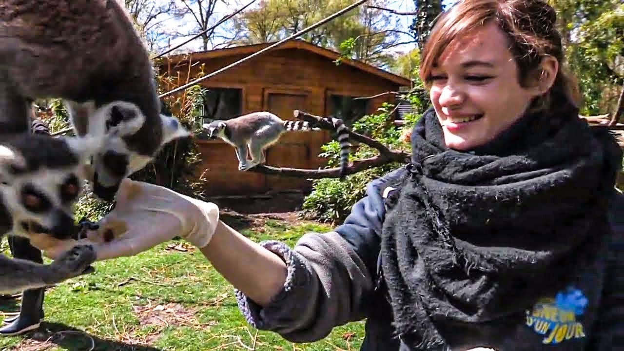 Zoo de Beauval : les nouveaux paris du plus grand zoo de France