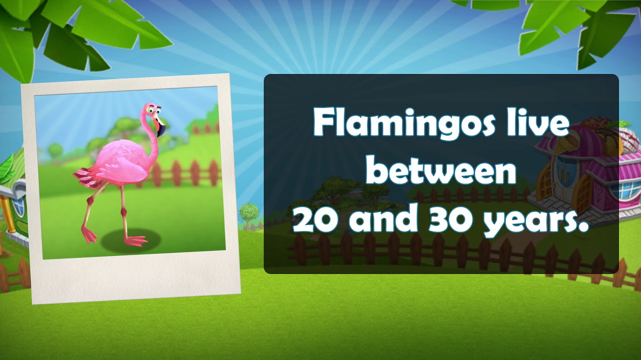 ZooCraft: Fun Facts Time! Vol. 20 (Flamingo)
