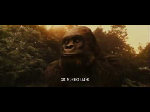 Zookeeper (2011) More Then A Feeling ending scene