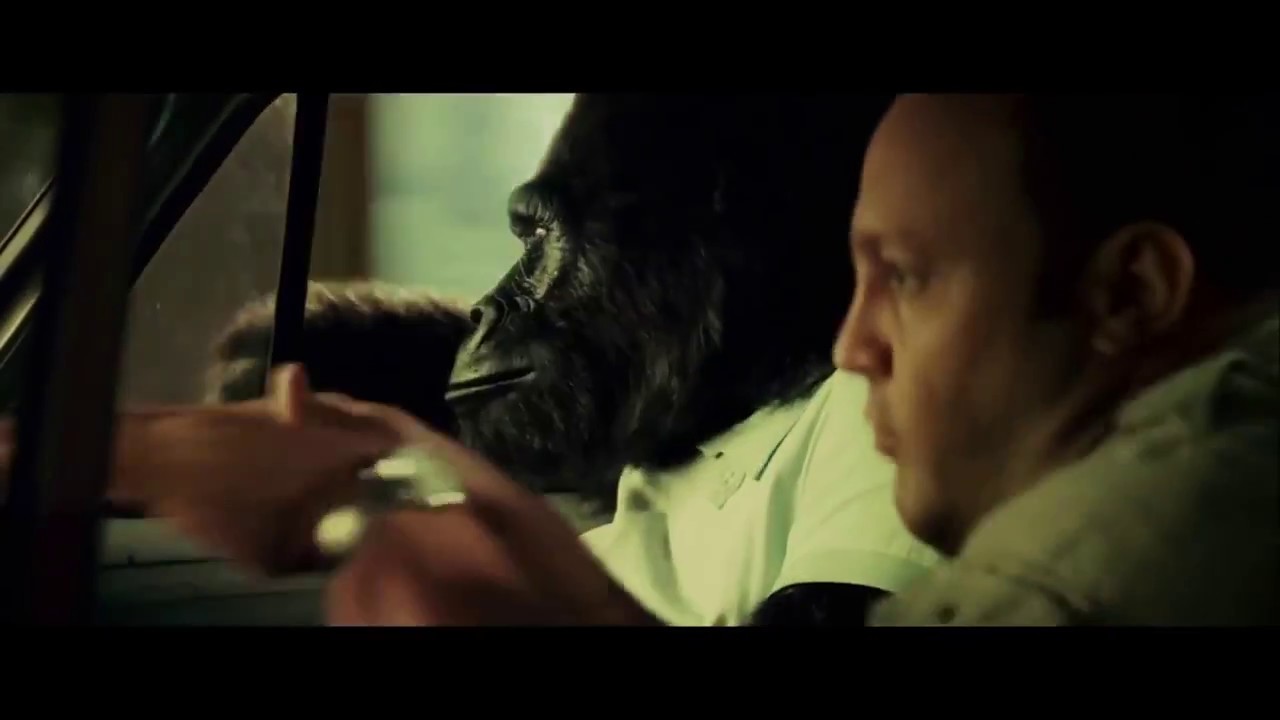 Zookeeper Driving Scene Loop