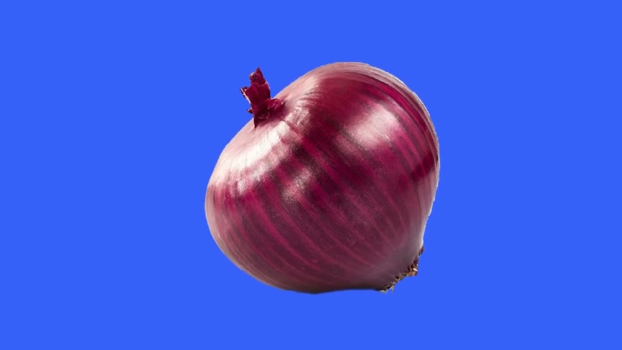 Zoom onion green screen/animation onion on green screen