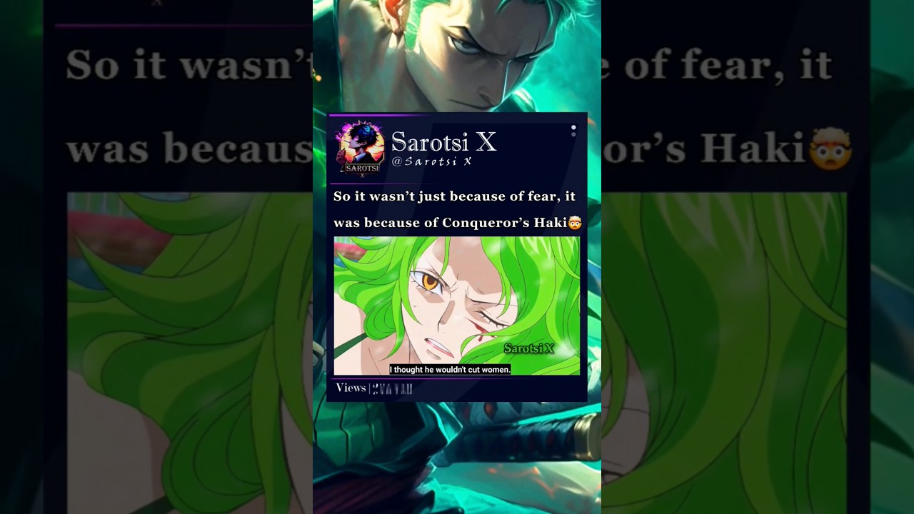 Zoro’s Conqueror’s Haki #zoro #haki #tashigi #onepiece