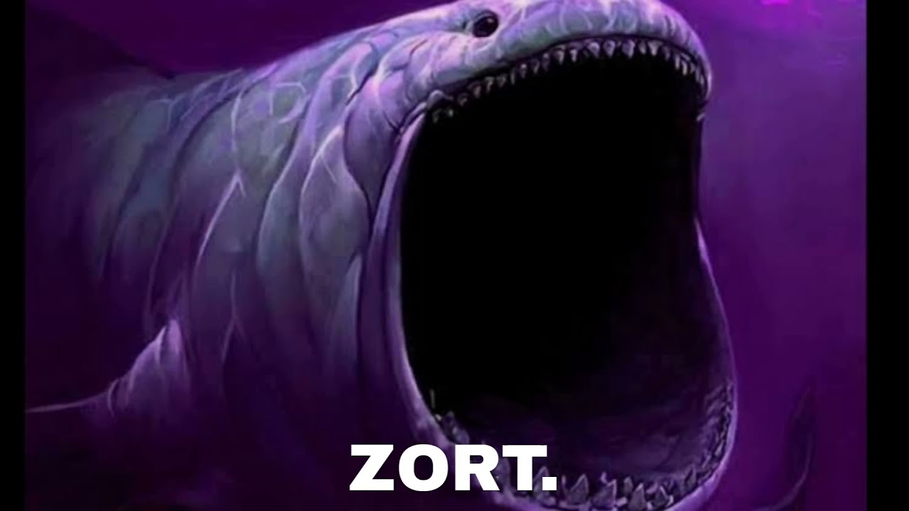 zort diyen köpek balığı