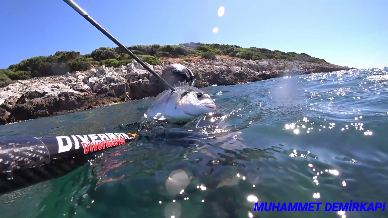 Zıpkın avı bodrum uzun bir video oldu iyi seyirler 💪DIVERMAN 🤳