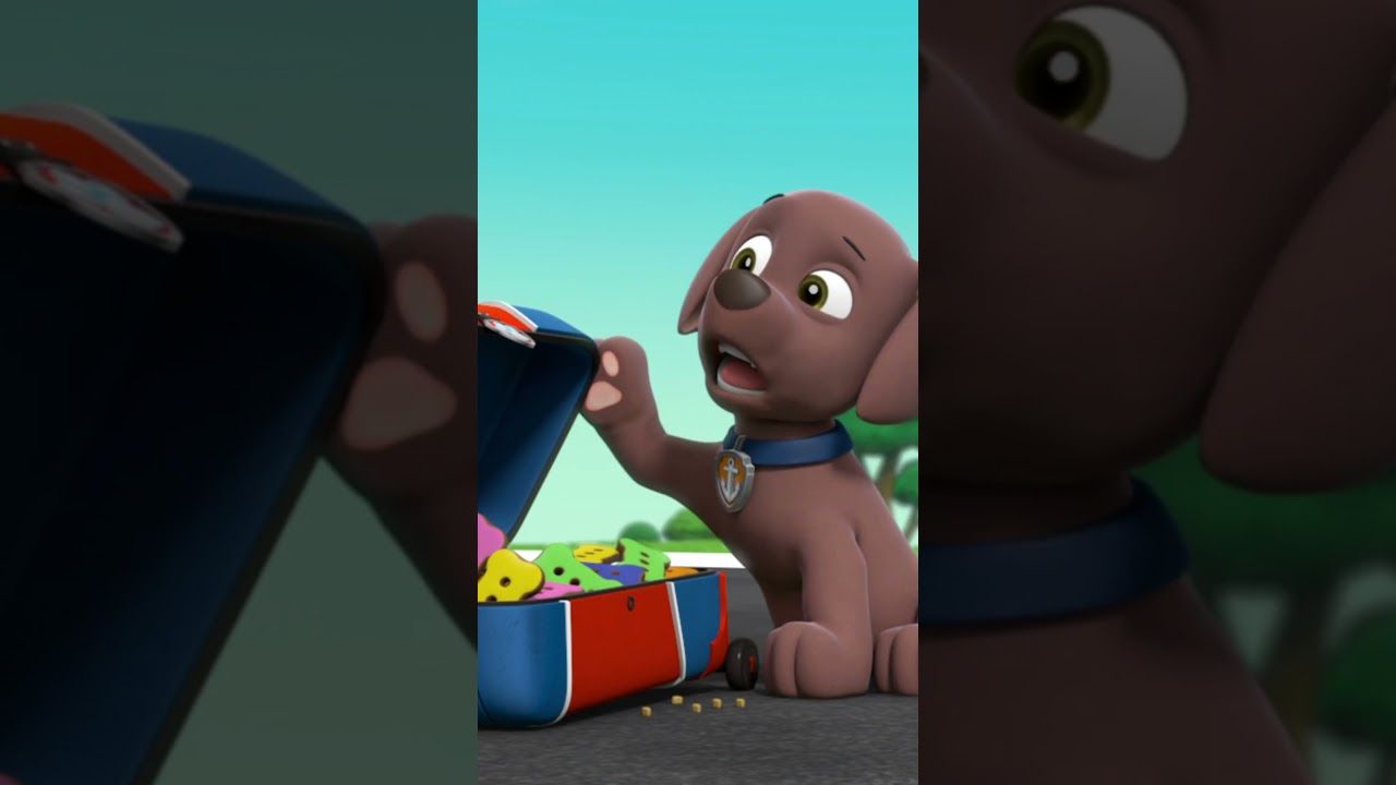 Zuma burps from having too much pup treat - Paw patrol