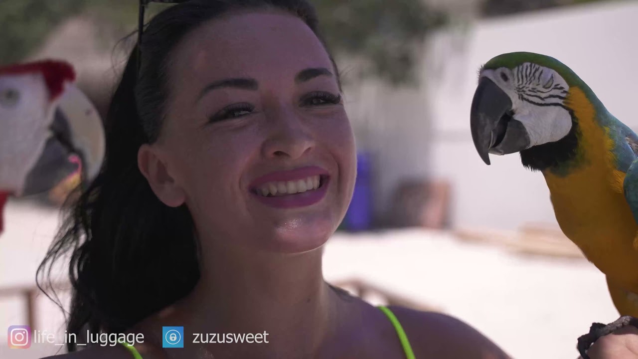 Zuzu Sweet and parrots on Isla Mujeres